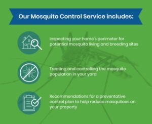 mosquito control