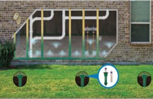 pest control, termite control