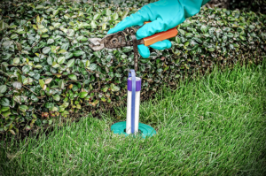 termite pest control