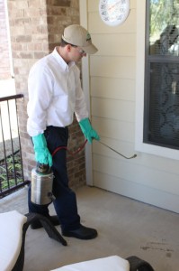 HomeTeam Pest Defense 6 Point Advantage Service photo 6 point service 199x300 HomeTeam Pest Defense 6 Point Advantage Service