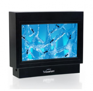 Top Tech Toys for Bug Lovers photo Antworks TV Quarium1 300x291 Top Tech Toys for Bug Lovers