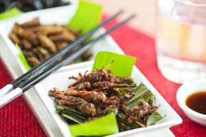 Delicious Critters?!? Bugs as a Delicacy photo Bugs as a Delicacy 300x199 Delicious Critters?!? Bugs as a Delicacy