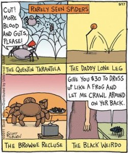 Spiders in the Cellar photo Cellar Spiders 251x300 Spiders in the Cellar