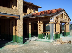 Termite Control Tips for Home Builders and Homeowners photo HomeBuildersBorate 300x223 Termite Control Tips for Home Builders and Homeowners