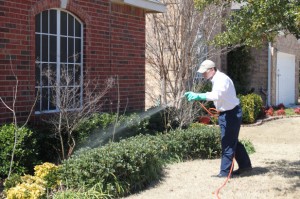 Customer Service is King photo IMG 0875 300x199 Customer Service is King