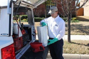 Professional Pest Control vs. DIY photo IMG 0893 300x200 Professional Pest Control vs. DIY