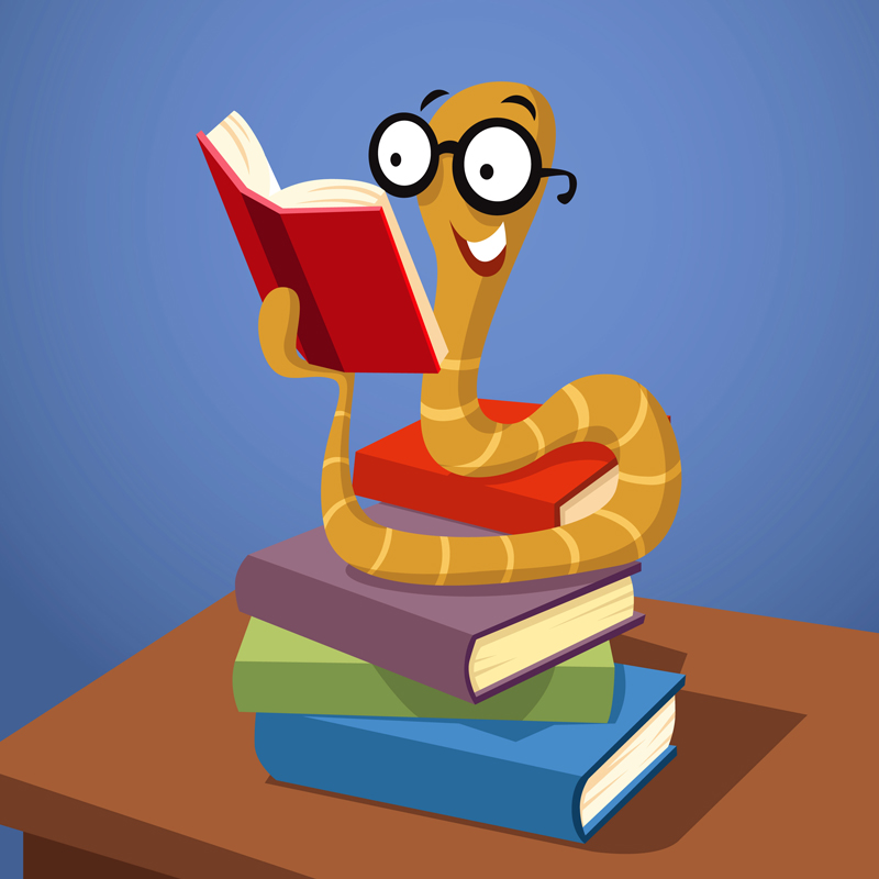 Top Gifts for Your Little Entomologist