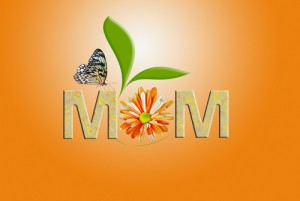 MOTHER’s Day Bugs photo mothers day bugs 300x201 MOTHER’s Day Bugs