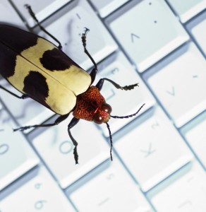 Office Pests photo shutterstock 3228407 292x300 Office Pests